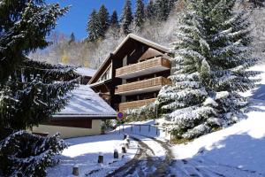 Résidence Campanule - Les Hauts De Planchamp - Studio pour 3 Personnes MAE-3348