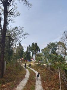 Whispering Pines Farmstay