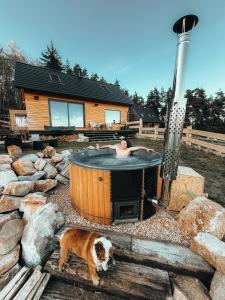 Cozy Chalet