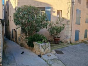 Studio Cosy CLIM-2 MIN Port & Plage