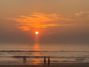 Gokarna Beach Vibes