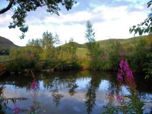 1 Bed in Blairgowrie oc-ca361