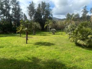 Casamea