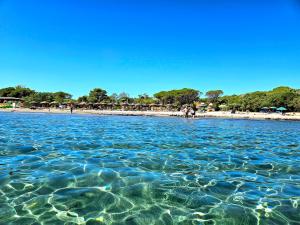 Ville delle Meduse - Sea View Villa, Near Beach in Porto Corallo