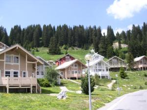 Résidence Hameau - Chalet spacieux · Poêle à bois · WIFI gratuit et illimité · Garage MAE-7359