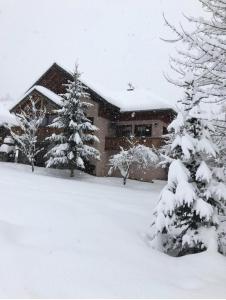 Chalet Colenfrey - Chalet 5 pièces 10 personnes 4 étoiles exposé Sud MAE-8314