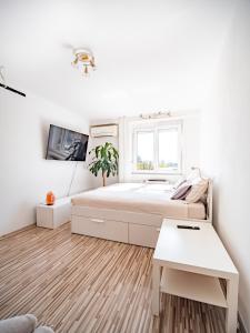 Grand Dragon Apartment Ljubljana - Free parking