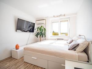 Grand Dragon Apartment Ljubljana - Free parking