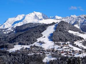 Résidence La Beguette - Chaleureux studio au pied des pistes de lespace diamant MAE-2834