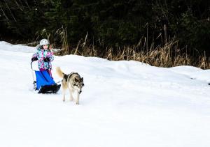 Résidence La Beguette - Chaleureux studio au pied des pistes de lespace diamant MAE-2834
