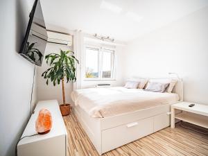 Grand Dragon Apartment Ljubljana - Free parking