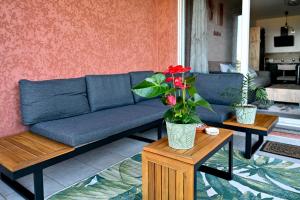 Super appartement à lumio