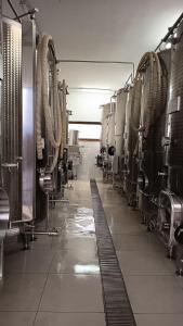 Bed&Wine Terrae Tiferni