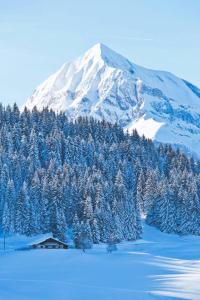 Résidence Le Schuss 1 - Appartement au pied des pistes avec terrasse vue Mont-Charvin MAE-3434