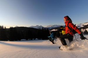 Résidence Cheloup - Appartement de charme avec une superbe vue sur le Mont Charvin MAE-2174