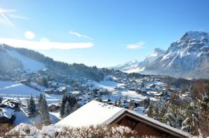 ES117 - Duplex 6 pers pied de pistes