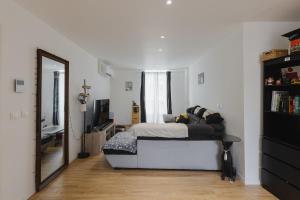 Grand appartement duplex - Gare & centre - Climatisé