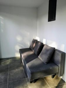 Studio near naturist camp
