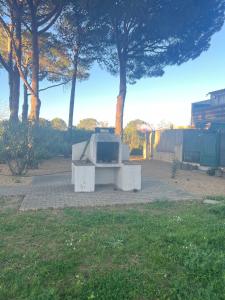 Studio near naturist camp