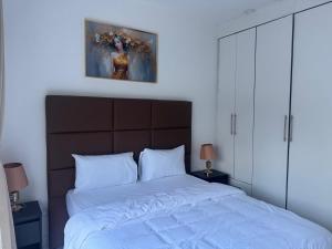 Swiss Luxury Apartments - Dolla Hill