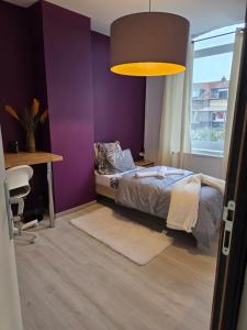 La Source maison dhôte à Roubaix