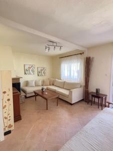Pantheon Apartments Paralia Skotinas