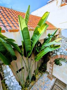 Dúplex Acogedor para 4 Personas en Getsemaní