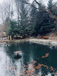 Pensiunea Paradisul Naturii