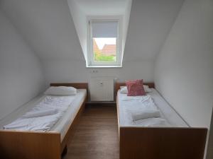 AlbFreizeit
