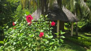 Bungalow Bleu Villa Luna Nosy Be
