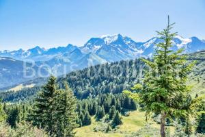 Résidence Coupe De Cristal - Coupe de Cristal A6 MAE-6544