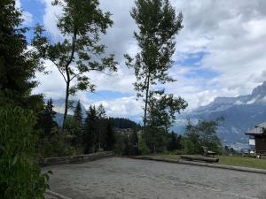 Résidence Ecrin Des Glaciers Daim - Ecrin des Glaciers D41 MAE-6334