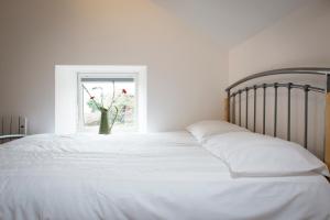 The Snug