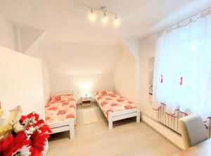 Apartments Villa Mavi, Novalja