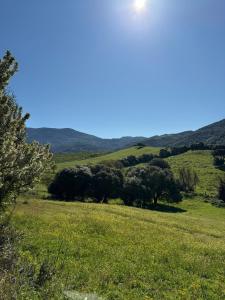 Maison neuve de haut standing en pleine campagne