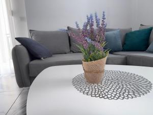 Apartman Laguna View