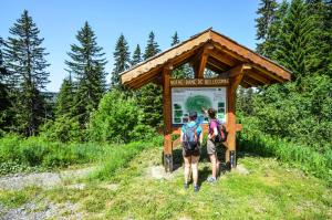 Résidence Les Oursons - Appartement vue montagnes au pied des pistes de lEspace Diamant MAE-7254
