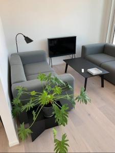 Luxe furnished apart