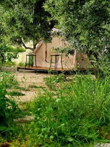 Cimarte The Path Lukove