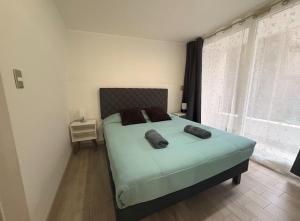 1H1B I Movistar Arena y Parque Ohiggins I Estacionamiento