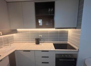 1H1B I Movistar Arena y Parque Ohiggins I Estacionamiento