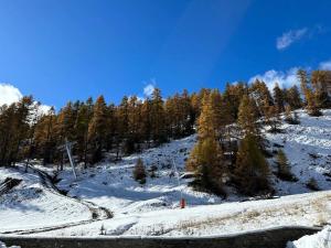 Résidence Lalpage - APPARTEMENT, PIED DES PISTES MAE-0091