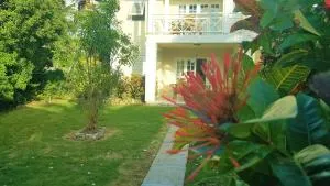 Shades - Saint James