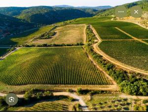 Charmant appartement entre mer et vignes