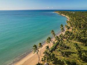 Coco Alto, The Residence, Cosón Bay, 6 Pax