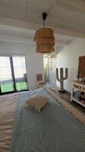 Oasis Lajares Charming oasis with pool and garden in Lajares