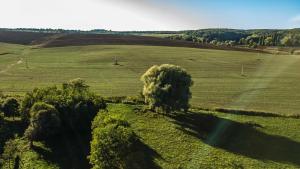 Zselici Csillagvirág Vendégház