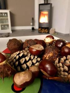 OstseeLagune Zingst, exklusive DHH, strandnah, Sauna, Kamin, 3 SZ, 2 Bäder, Glasfaser, HAUSTIERFREI, Garten mit Südterrasse, E-Ladesäule, 2 Stellplätze, Strandkorb, Fahrradschuppen, Waschmaschine, Trockner, Nichtraucher