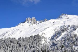 Résidence Grande Rosiere - JOLI STUDIO DIVISIBLE, FONCTIONNEL, SKIS AUX PIEDS ! MAE-7558