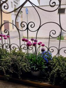 Casa Malecore civico 42